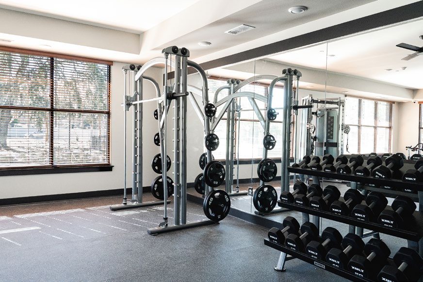 Interior of new gym with weights and mirrors and equipment.
