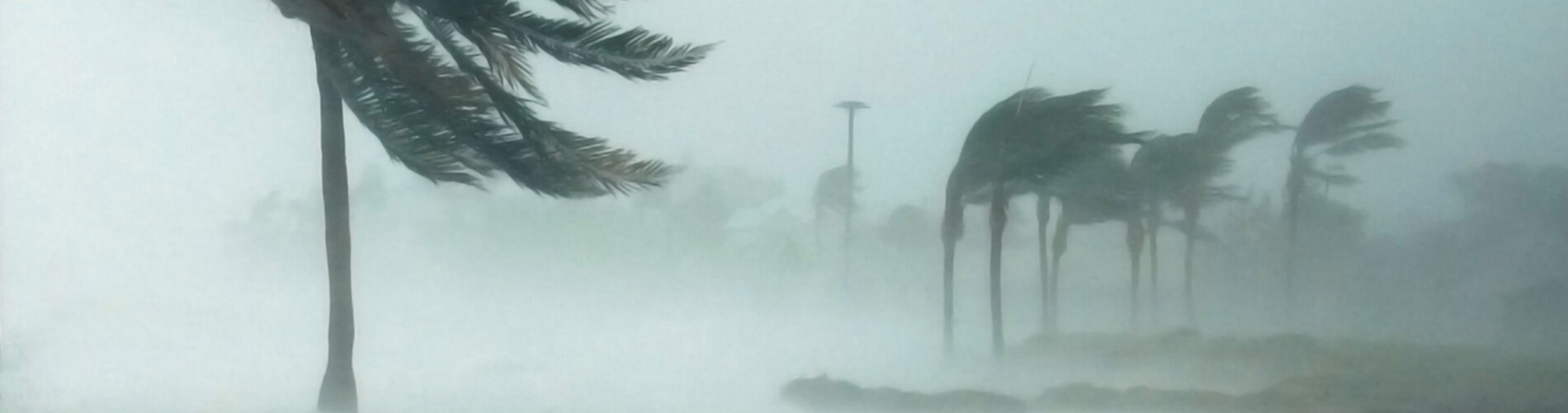 A hurricane blowing through a beach.