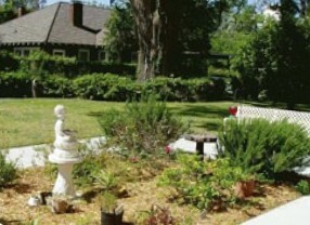 A view of a Garden.