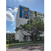 A street view of a building with a mural painted on the side